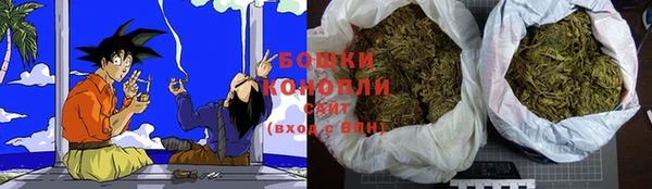 индика Осташков