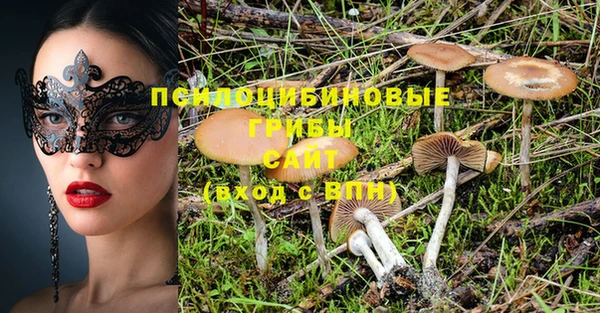 соль курить ск Нязепетровск