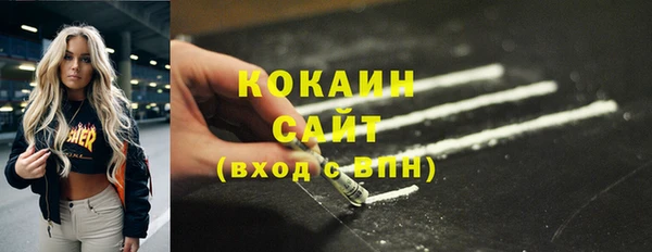 дмт Осинники