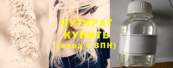 индика Осташков