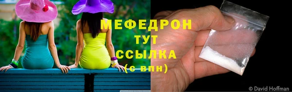 индика Осташков