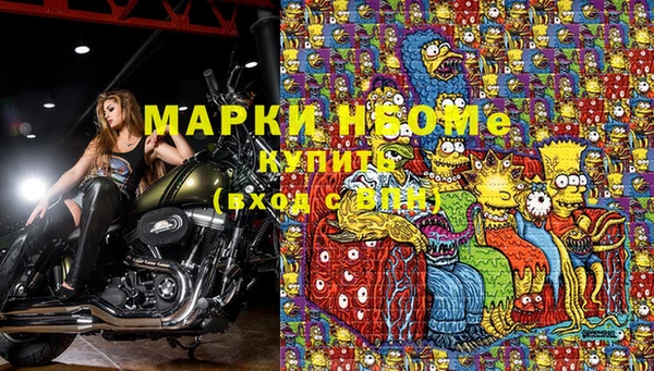индика Осташков