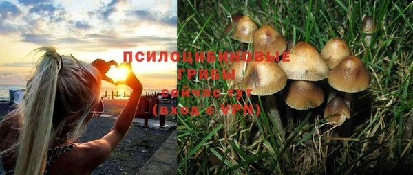 дмт Осинники