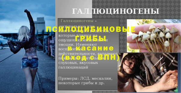 индика Осташков