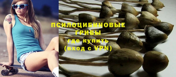 ГАЛЛЮЦИНОГЕННЫЕ ГРИБЫ Остров
