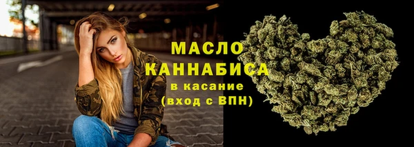 дмт Осинники