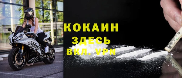 дмт Осинники