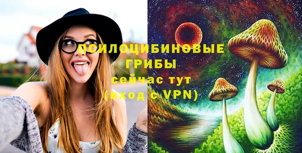 индика Осташков