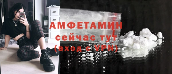 дмт Осинники