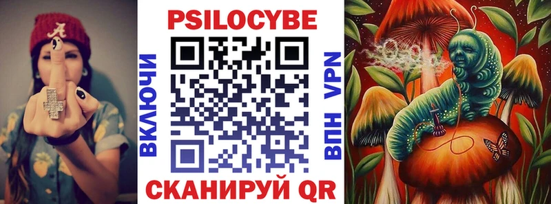 закладки  Саки  Галлюциногенные грибы Cubensis 