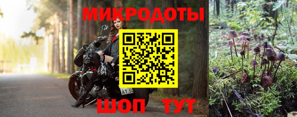 Псилоцибиновые грибы Psilocybe  Вход с VPN  Псилоцибиновые грибы прущие грибы  Саки 