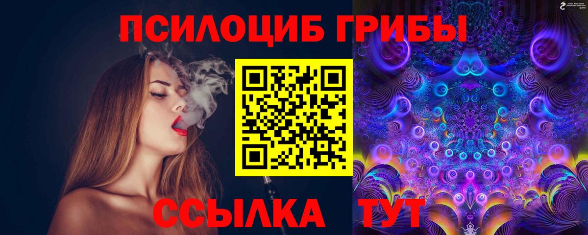 Галлюциногенные грибы Psilocybine cubensis Саки