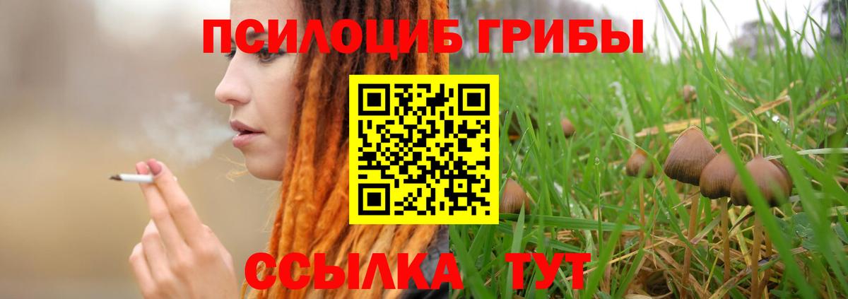 Галлюциногенные грибы Psilocybine cubensis Саки